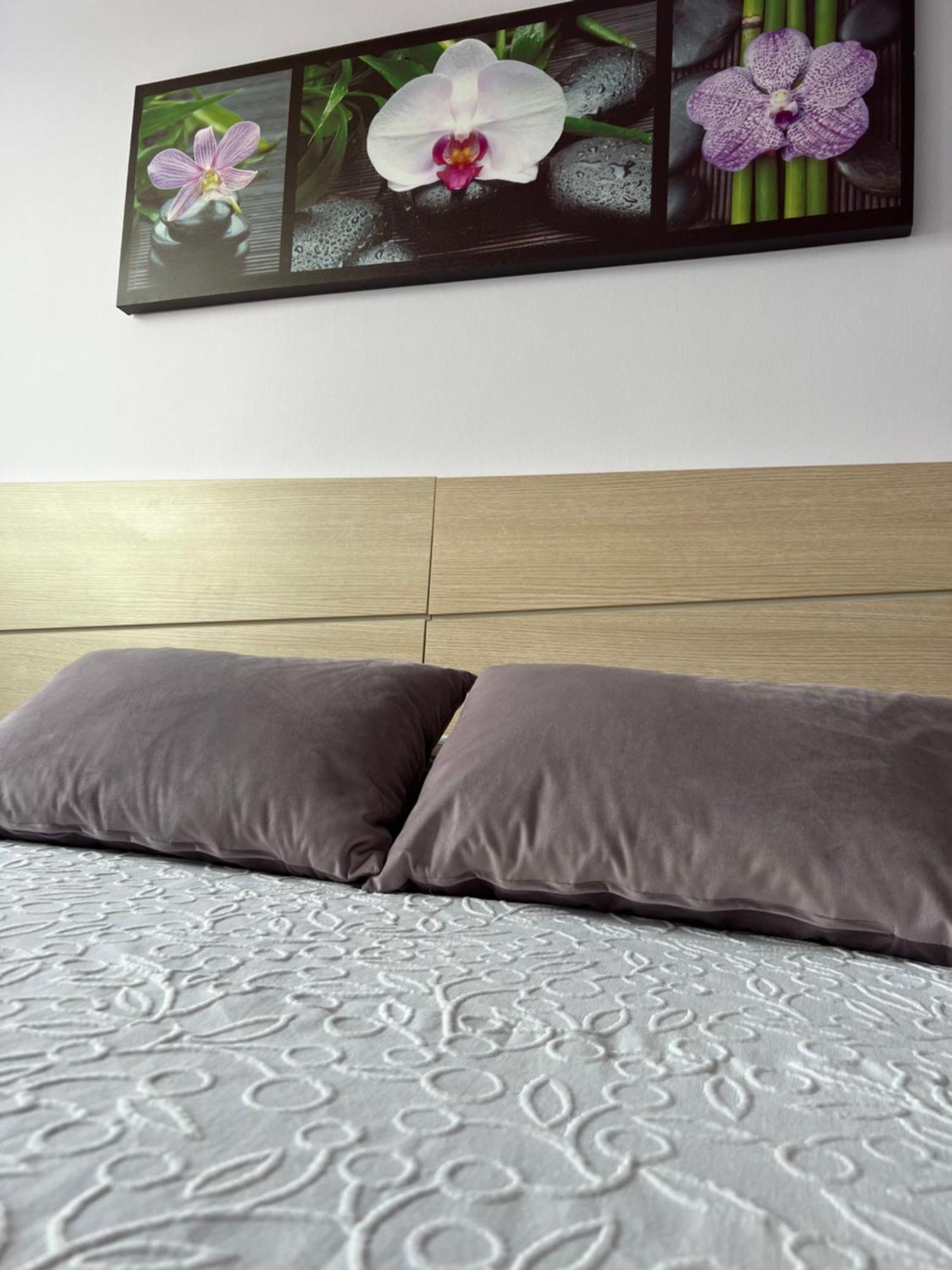 Marusia Apartamento Malpica de Bergantiños Esterno foto